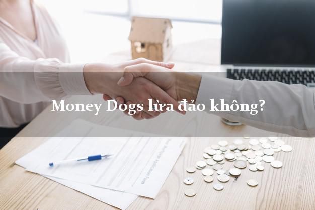 Money Dogs lừa đảo không?