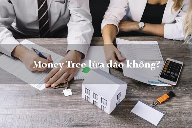 Money Tree lừa đảo không?